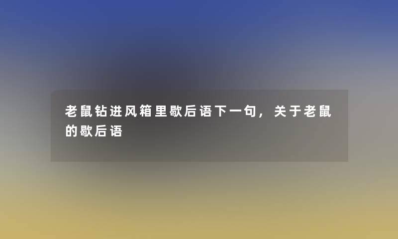 老鼠钻进风箱里歇后语下一句,关于老鼠的歇后语