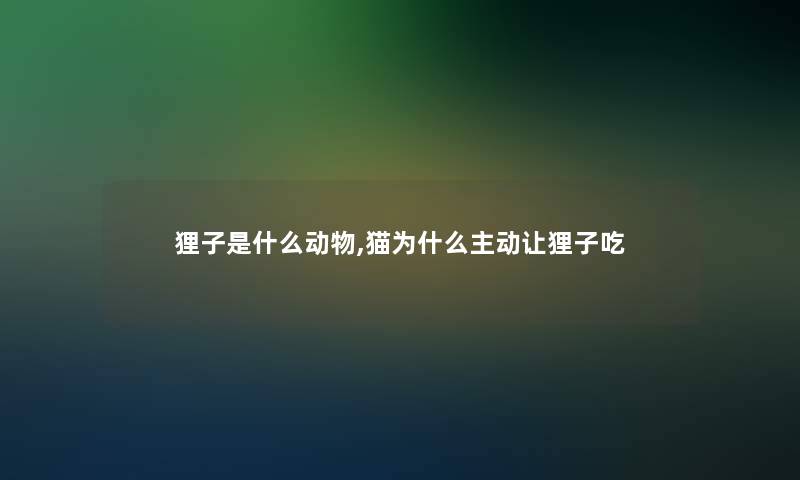 狸子是什么动物,猫为什么主动让狸子吃 狸子是什么动物,猫为什么主动让狸子吃