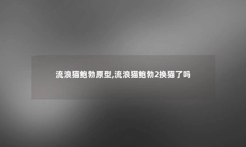 流浪猫鲍勃原型,流浪猫鲍勃2换猫了吗