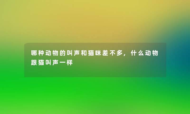 哪种动物的叫声和猫咪差不多,什么动物跟猫叫声一样