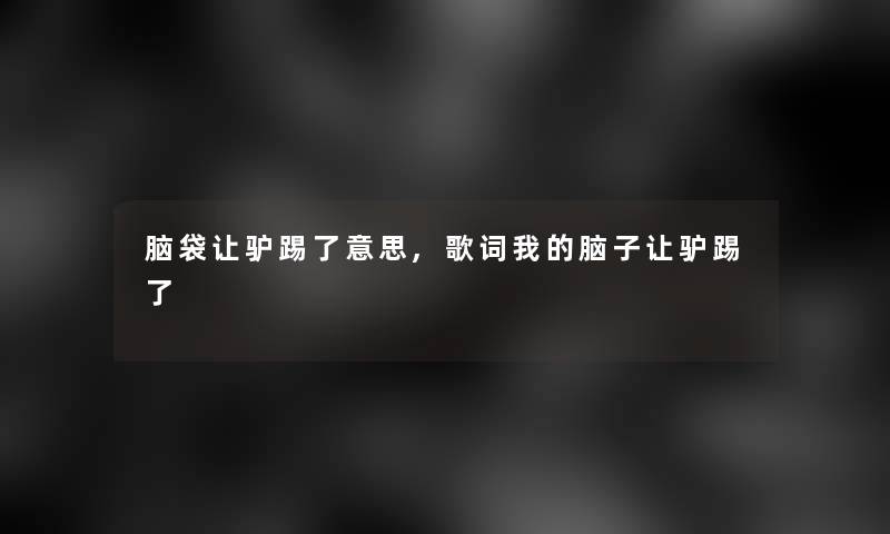脑袋让驴踢了意思,歌词我的脑子让驴踢了