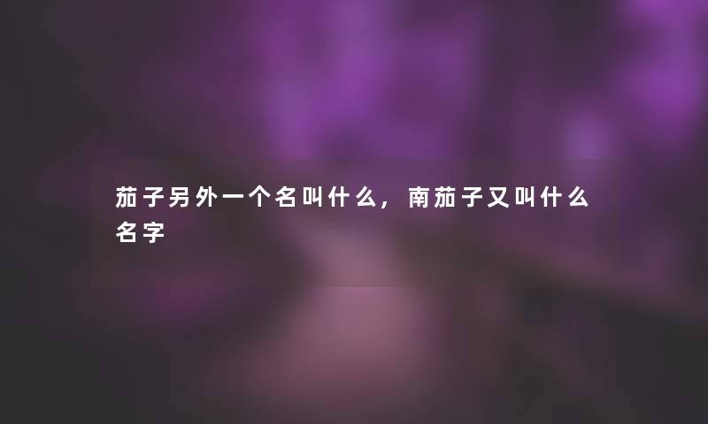 茄子一方面一个名叫什么,南茄子又叫什么名字 茄子一方面一个名叫什么,南茄子又叫什么名字