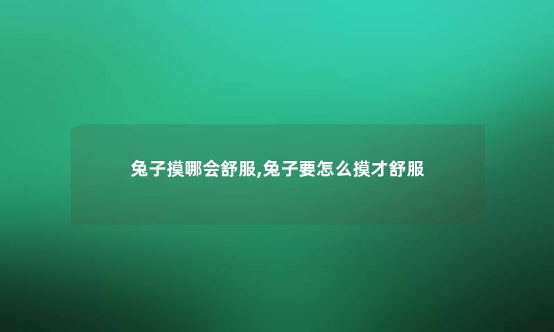 兔子摸哪会舒服,兔子要怎么摸才舒服