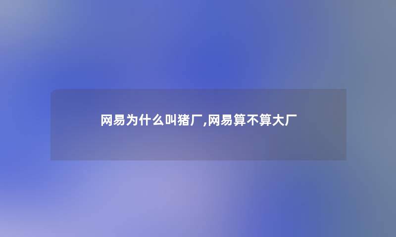网易为什么叫猪厂,网易算不算大厂