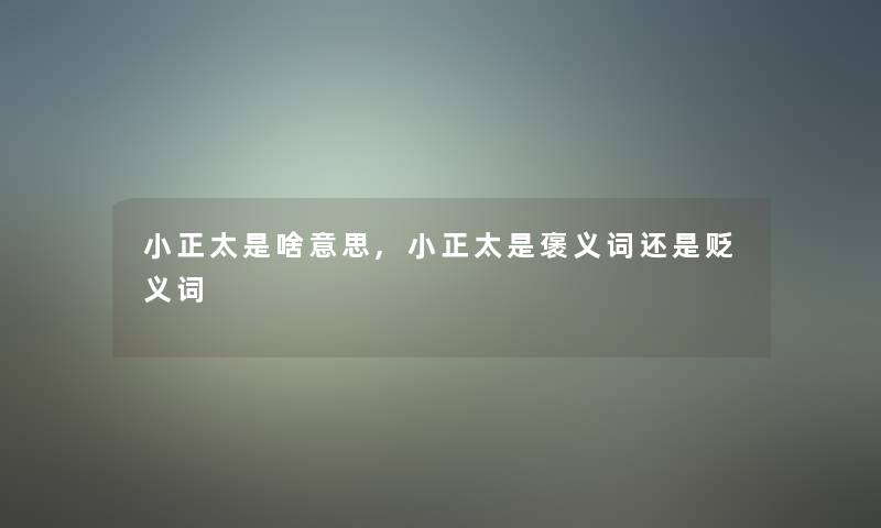 小正太是啥意思,小正太是褒义词还是贬义词
