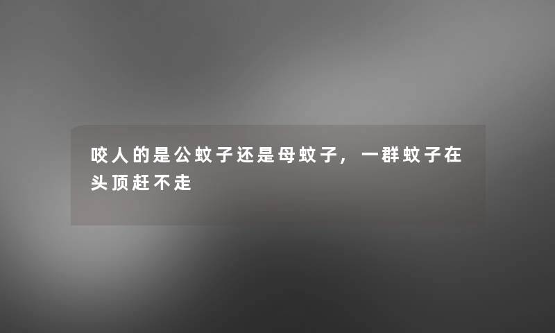 咬人的是公蚊子还是母蚊子,一群蚊子在头顶赶不走 咬人的是公蚊子还是母蚊子,一群蚊子在头顶赶不走