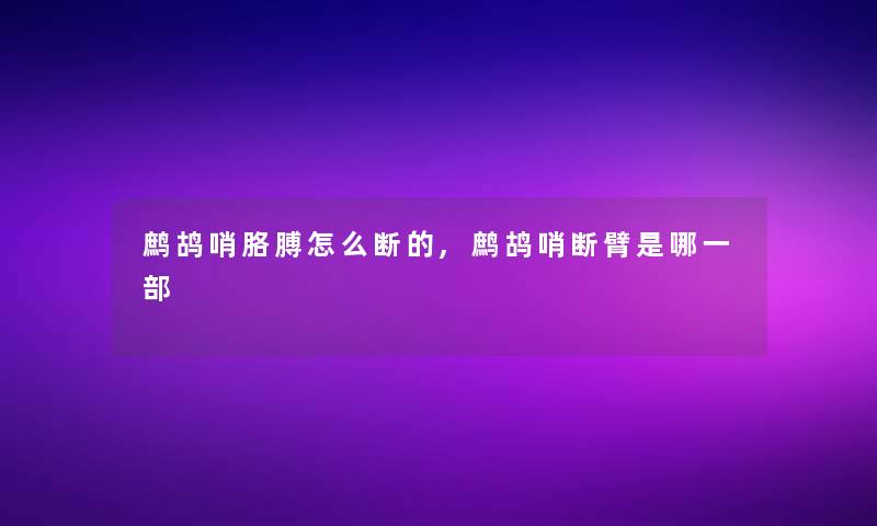 鹧鸪哨胳膊怎么断的,鹧鸪哨断臂是哪一部