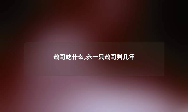 鹩哥吃什么,养一只鹩哥判几年