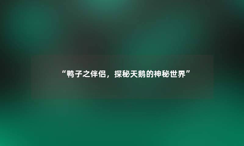 鸭子之伴侣，探秘天鹅的神秘世界