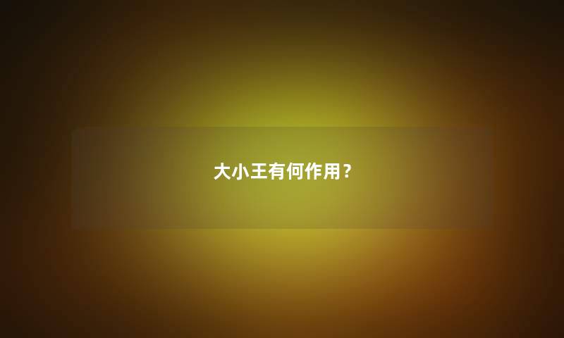 大小王有何作用？