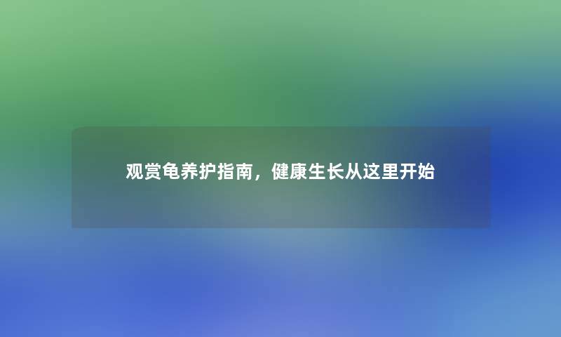 观赏龟养护指南，健康生长从这里开始