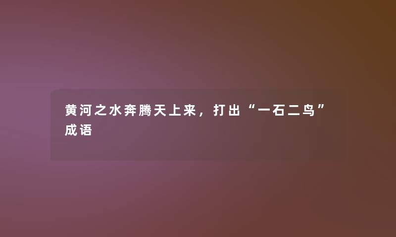 黄河之水奔腾天上来，打出一石二鸟成语