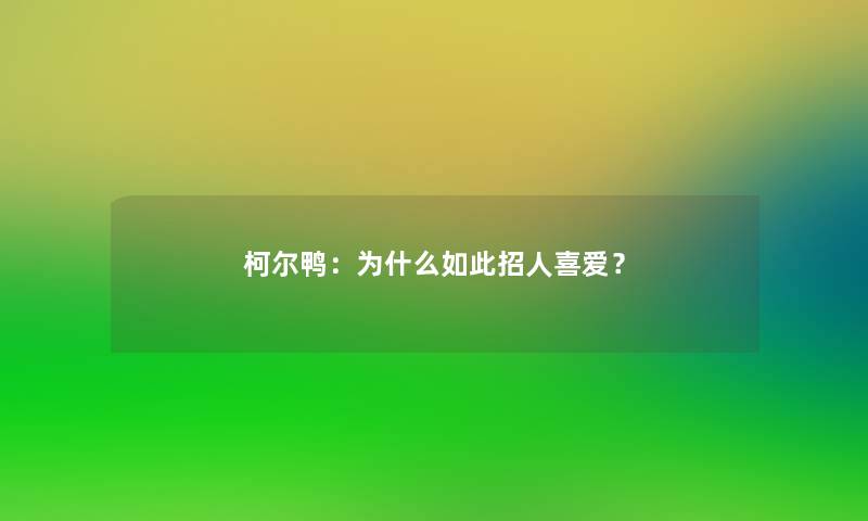 柯尔鸭：为什么如此招人喜爱？