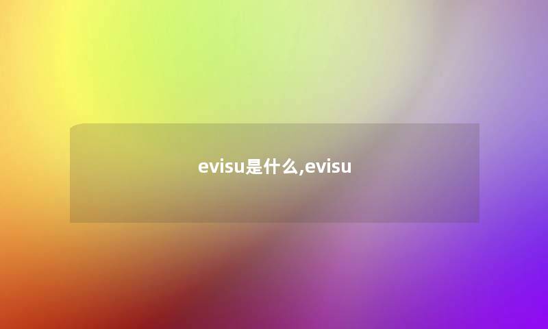 evisu是什么,evisu