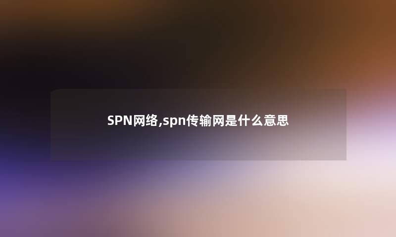 SPN网络,spn传输网是什么意思 SPN网络,spn传输网是什么意思