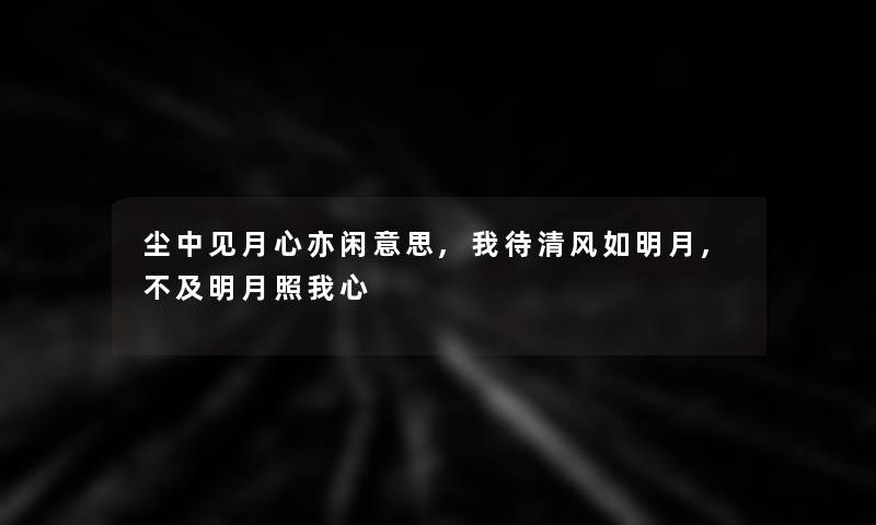 尘中见月心亦闲意思,我待清风如明月,不及明月照我心