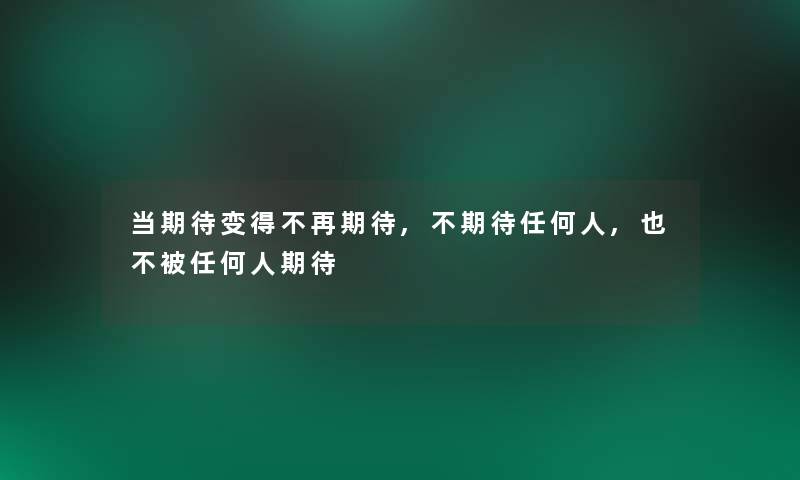 当期待变得不再期待,不期待任何人,也不被任何人期待 当期待变得不再期待,不期待任何人,也不被任何人期待