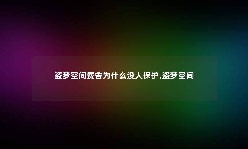 盗梦空间费舍为什么没人保护,盗梦空间