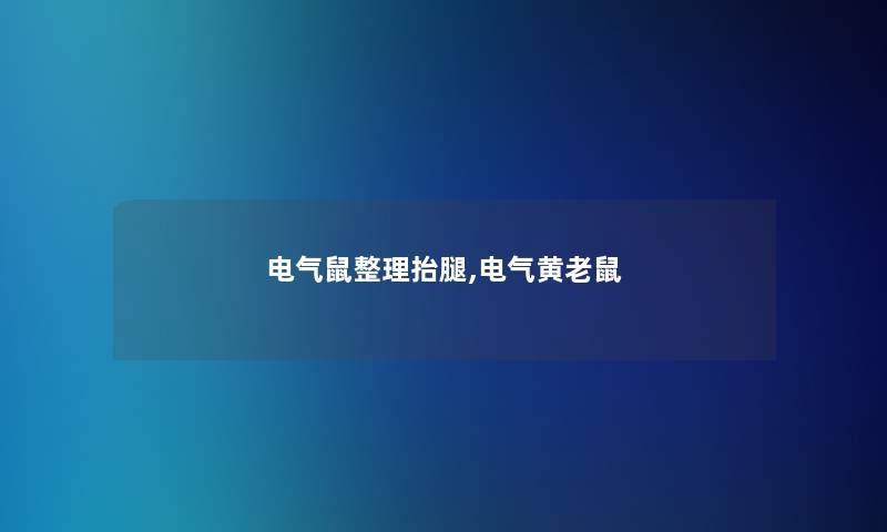 电气鼠整理抬腿,电气黄老鼠 电气鼠整理抬腿,电气黄老鼠