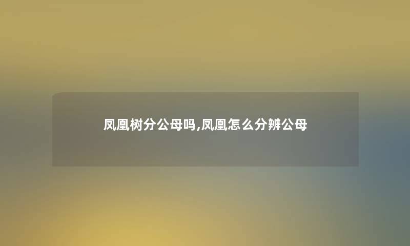 凤凰树分公母吗,凤凰怎么分辨公母