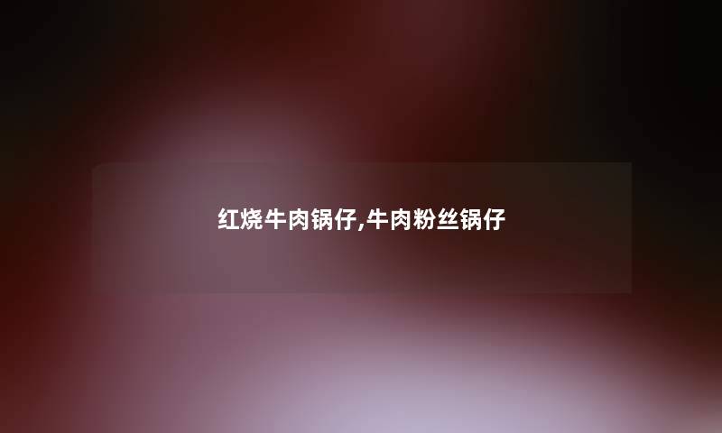 红烧牛肉锅仔,牛肉粉丝锅仔