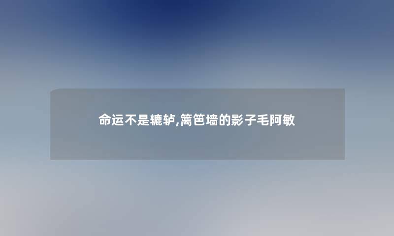 命运不是辘轳,篱笆墙的影子毛阿敏