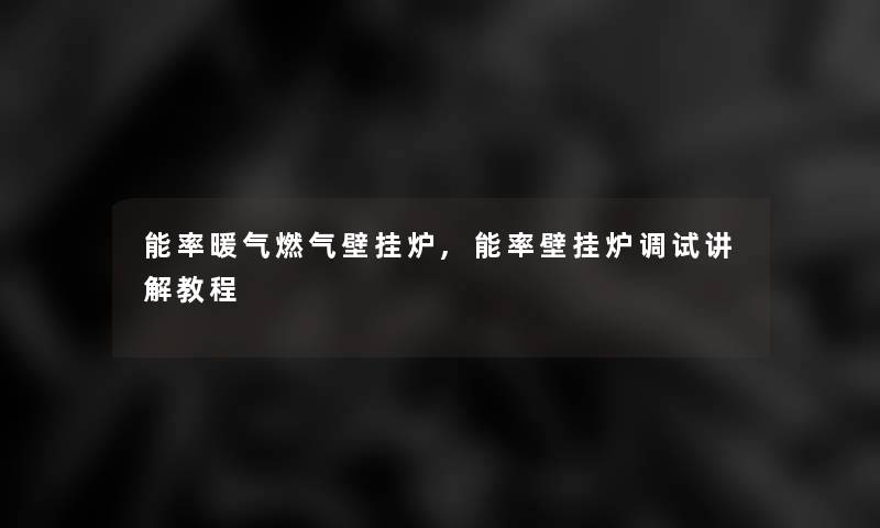 能率暖气燃气壁挂炉,能率壁挂炉调试讲解教程