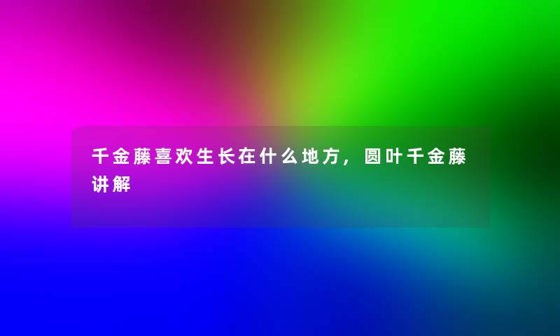 千金藤喜欢生长在什么地方,圆叶千金藤讲解