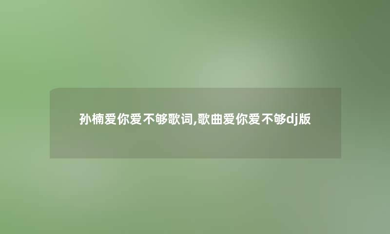 孙楠爱你爱不够歌词,歌曲爱你爱不够dj版