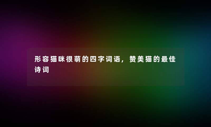 形容猫咪很萌的四字词语,赞美猫的理想诗词