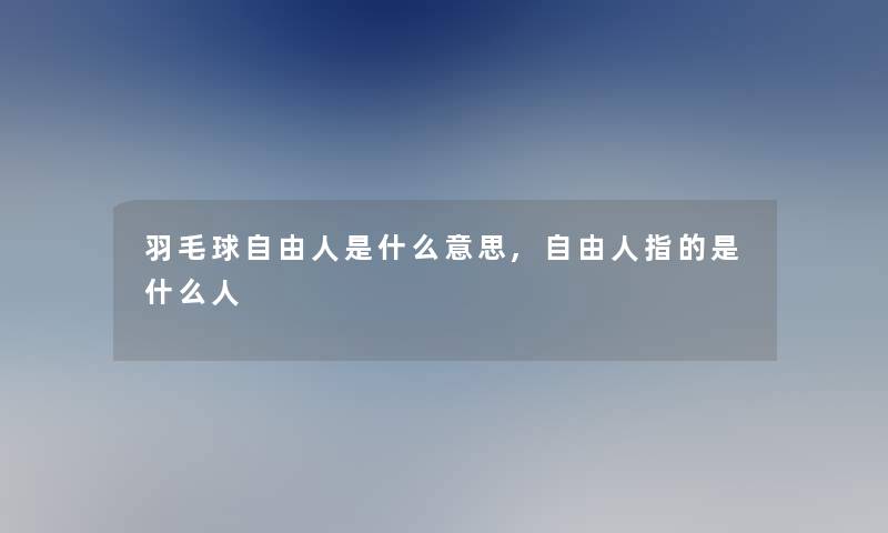 羽毛球自由人是什么意思,自由人指的是什么人