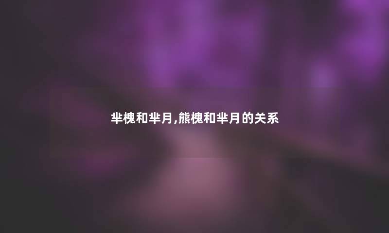 芈槐和芈月,熊槐和芈月的关系