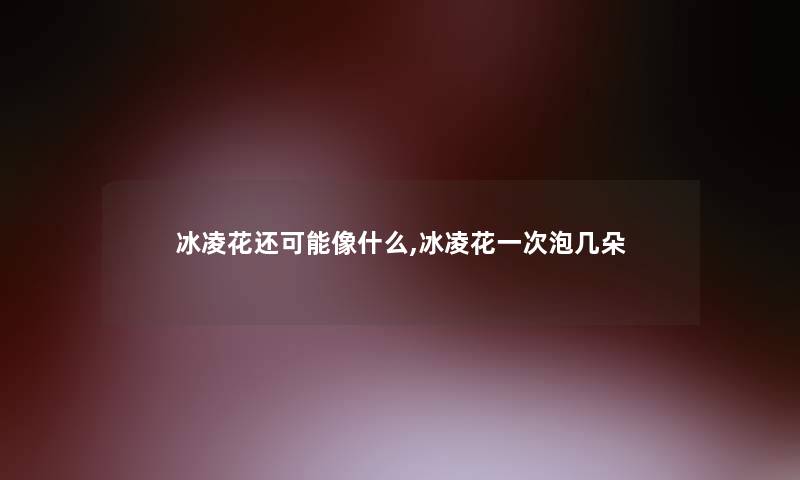 冰凌花还可能像什么,冰凌花一次泡几朵