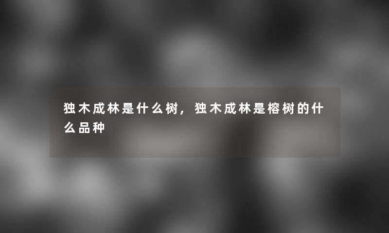 独木成林是什么树,独木成林是榕树的什么品种