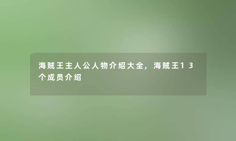 海贼王主人公人物介绍大全,海贼王13个成员介绍