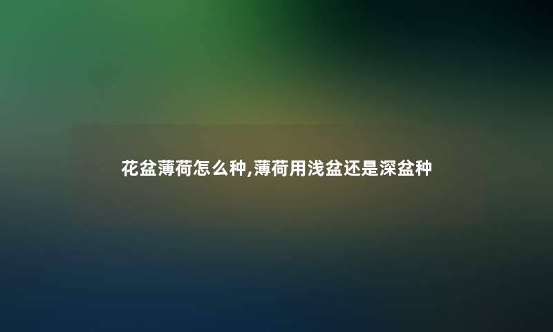 花盆薄荷怎么种,薄荷用浅盆还是深盆种