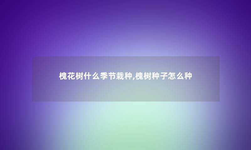 槐花树什么季节栽种,槐树种子怎么种