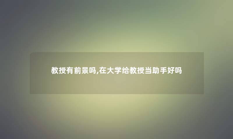教授有前景吗,在大学给教授当助手好吗