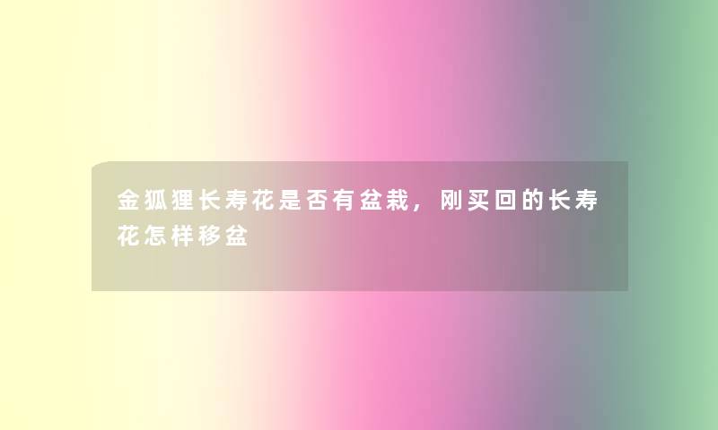 金狐狸长寿花是否有盆栽,刚买回的长寿花怎样移盆