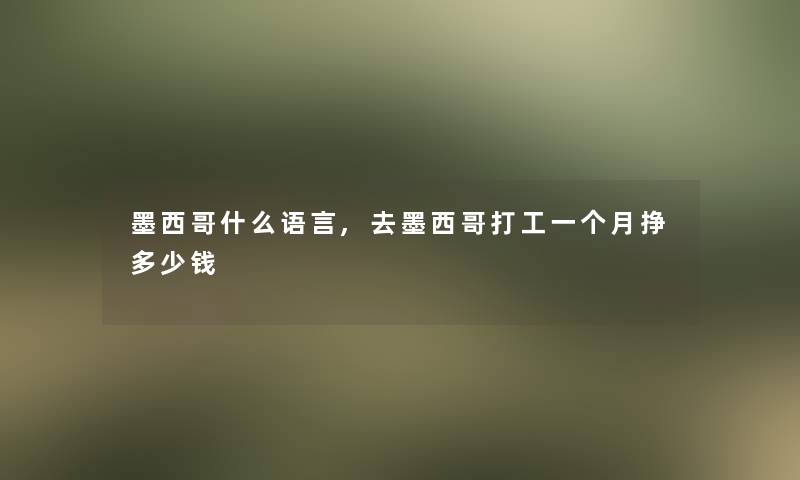 墨西哥什么语言,去墨西哥打工一个月挣多少钱