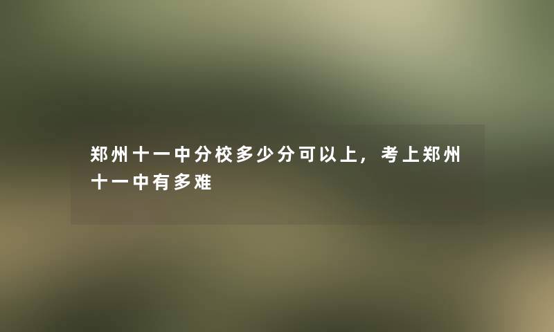 郑州十一中分校多少分可以上,考上郑州十一中有多难