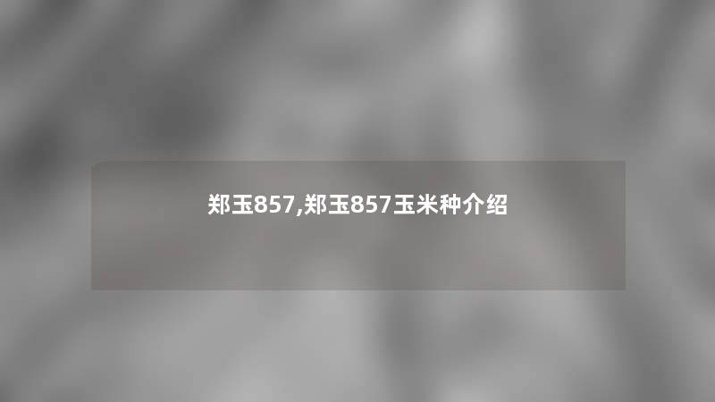 郑玉857,郑玉857玉米种介绍 郑玉857,郑玉857玉米种介绍