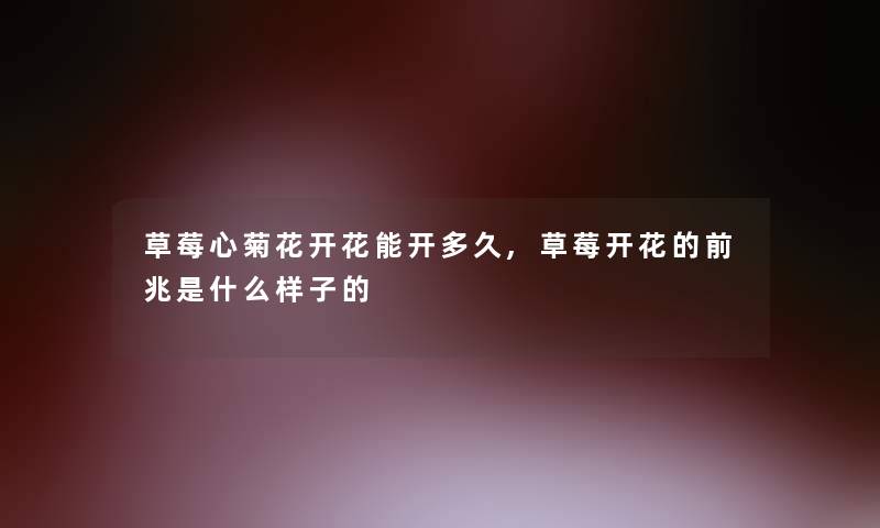 草莓心菊花开花能开多久,草莓开花的前兆是什么样子的