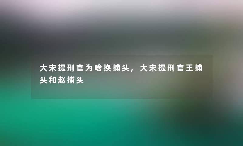 大宋提刑官为啥换捕头,大宋提刑官王捕头和赵捕头