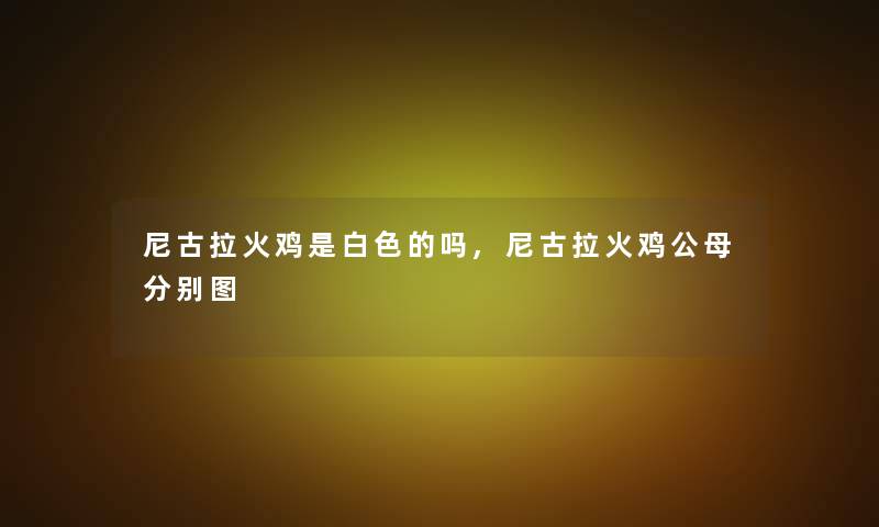 尼古拉火鸡是白色的吗,尼古拉火鸡公母分别图 尼古拉火鸡是白色的吗,尼古拉火鸡公母分别图