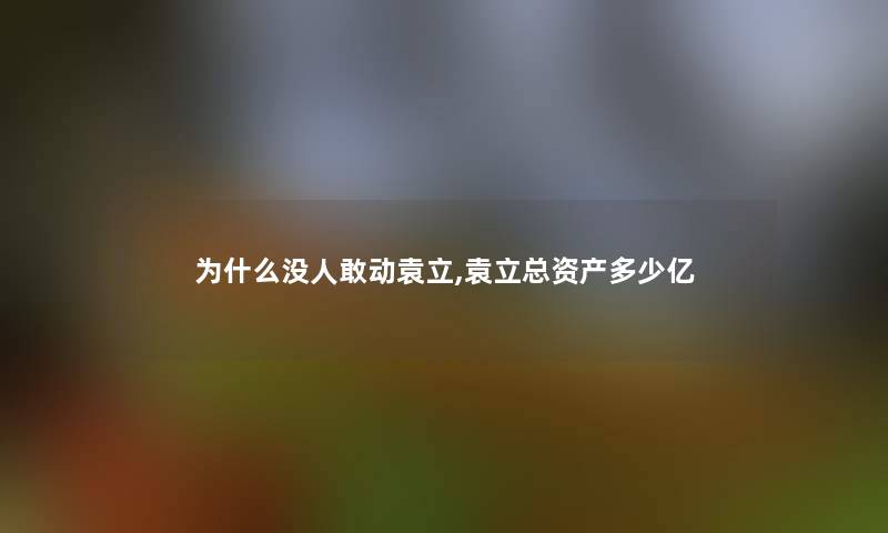 为什么没人敢动袁立,袁立总资产多少亿