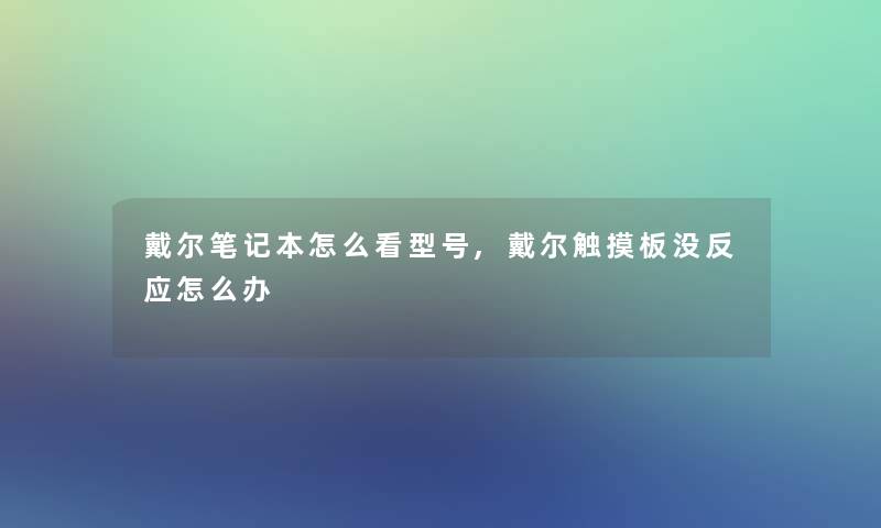 戴尔笔记本怎么看型号,戴尔触摸板没反应怎么办 戴尔笔记本怎么看型号,戴尔触摸板没反应怎么办