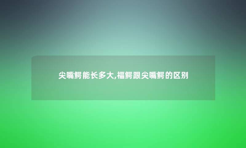 尖嘴鳄能长多大,福鳄跟尖嘴鳄的区别 尖嘴鳄能长多大,福鳄跟尖嘴鳄的区别