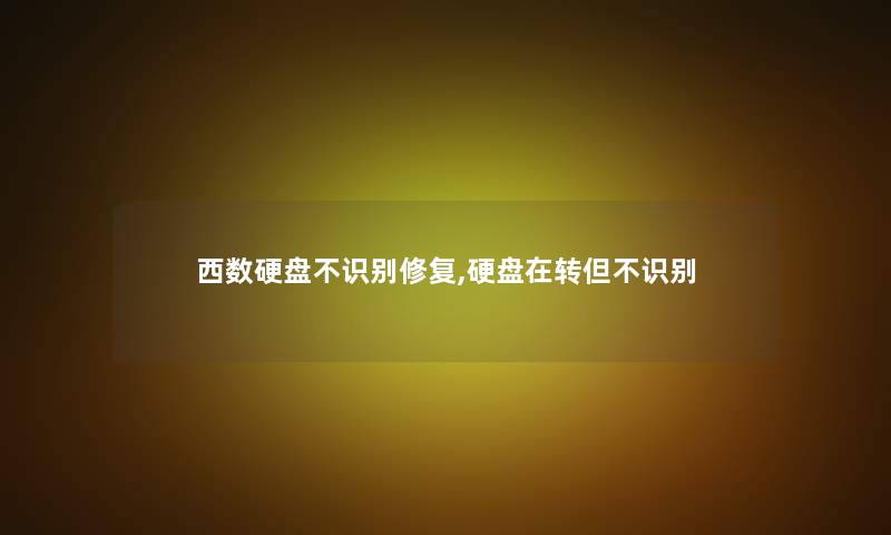 西数硬盘不识别修复,硬盘在转但不识别 西数硬盘不识别修复,硬盘在转但不识别