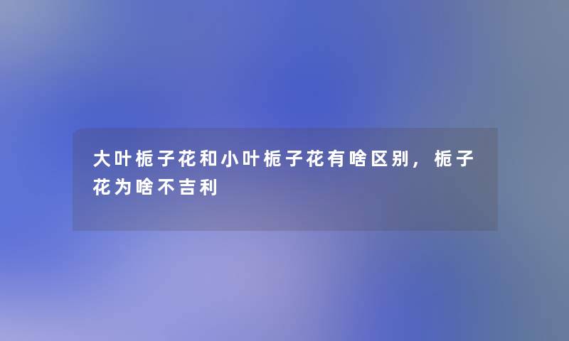 大叶栀子花和小叶栀子花有啥区别,栀子花为啥不吉利 大叶栀子花和小叶栀子花有啥区别,栀子花为啥不吉利